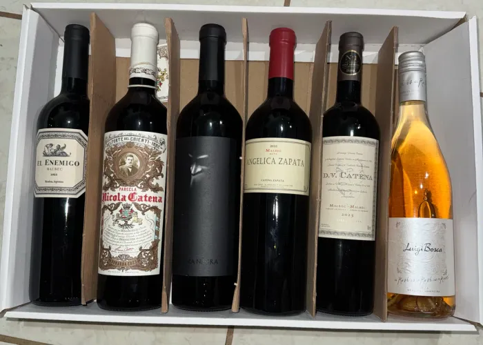 Vinhos Argentinos
