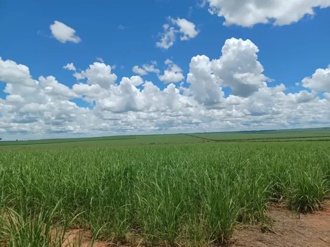 Excelente Oportunidade: Sítio de 18 Alqueires em Sebastianópolis do Sul - SP