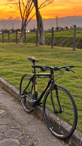BIKE SPEED CALOI