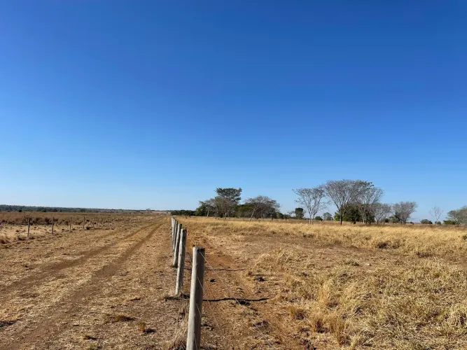 Fazenda com 656 alq formado + 190 alq. APP em são Miguel do Araguaia Go. 120milhões