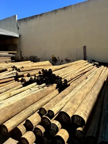 Eucalipto Tratado Belgo Mais Top de Goiânia Pouco Rachador e Pesado Preço de Usina