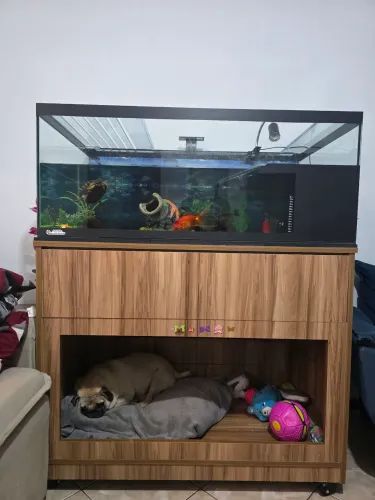 Aquaterrario + terrario 