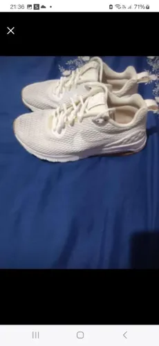 Tenis