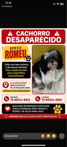 PROCURA-SE ROMEU 