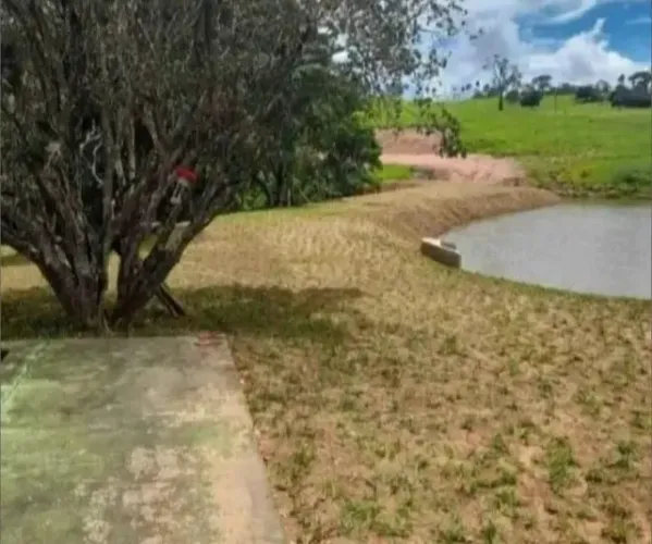 835 Metros de Grama Bermuda Faça Pedido 835 Metros de Grama Bermuda Faça Pedido