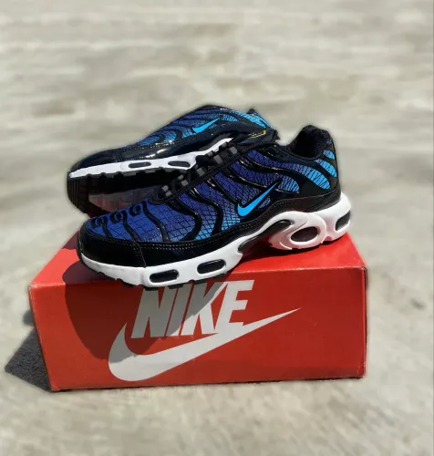 Nike Air Max TN (41)