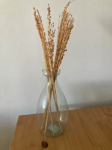 Vaso de vidro com flores secas 