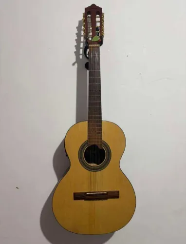Viola caipira Gianini Raiz
