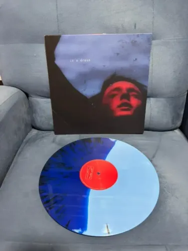 Vinil Troye Sivan In A Dream