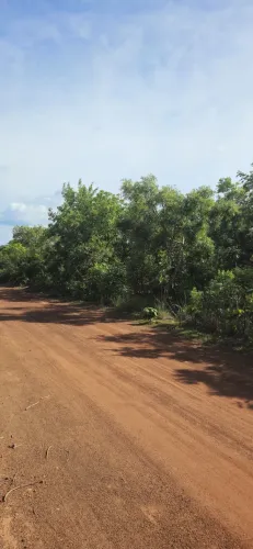 Chácara ao Lado da Fazenda de Henrique e Juliano - Oportunidade!