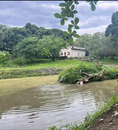 Vendo Sítio - 10 Mil m2
