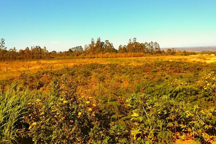 Lote Ponte Alta Gama DF - Oportunidade