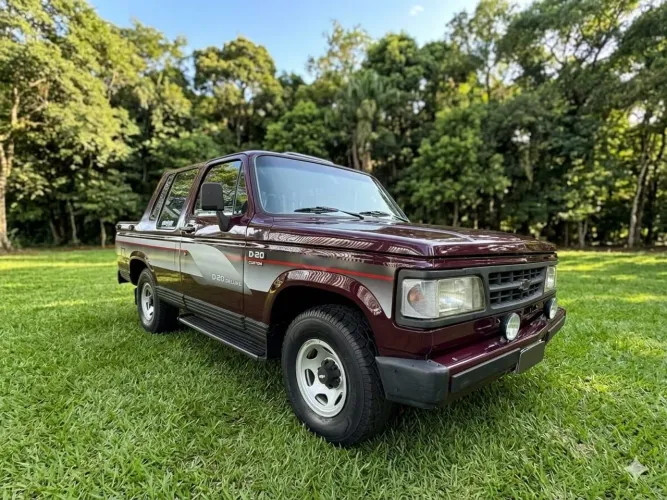 Chevrolet D-20 CD LX S4t/tro.plus/lx 3.9/4.0 Tdies 1989