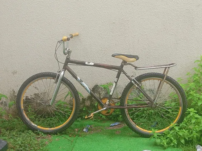 Bicicleta