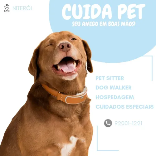 Serviços pet