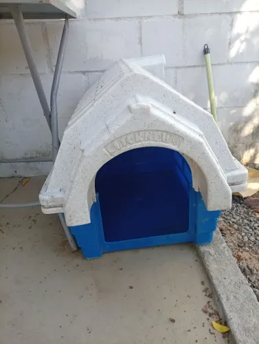 Casinha de pet