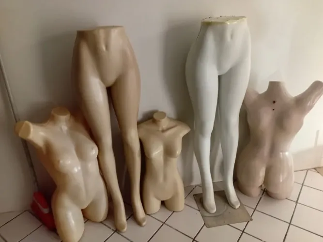 Maniquins adulto 