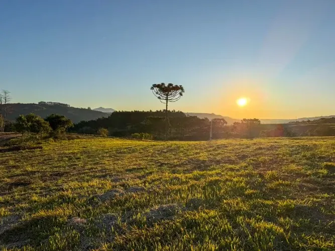 SÍTIOS À VENDA A 2 KM DO CENTRO, NA SERRA CATARINENSE