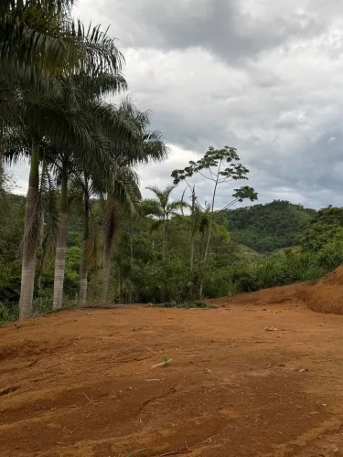 Vende-se chácara no Lavrinha/Quilombo