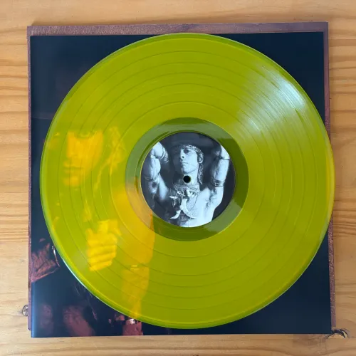 Disco de Vinil LP Ney Matogrosso - Bandido