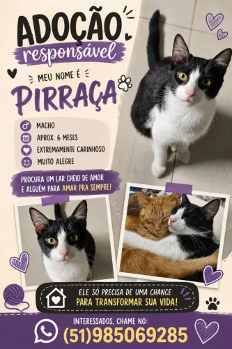 DOAÇÃO DE FRAJOLINHA