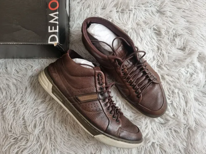 Bota democrata