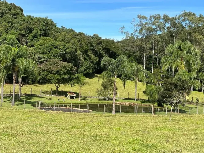 sitio 2.5 alqueires pra Haras em Joanópolis SP