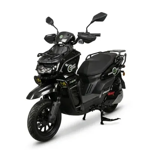 Moto Elétrica Smart Wheel Tank Pro 1000W - Bateria de Lítio