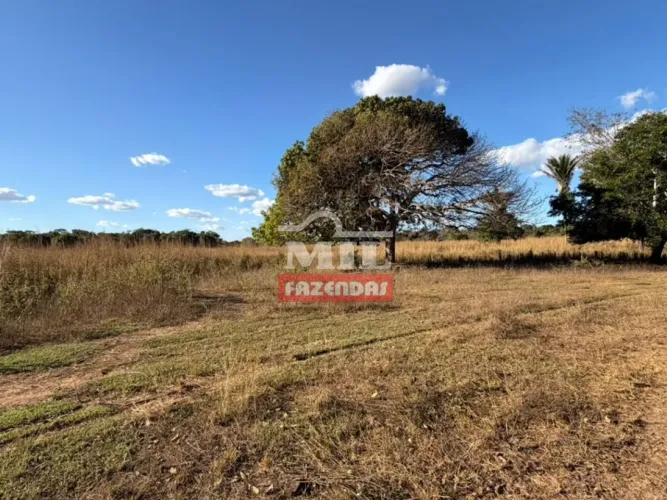 Fazenda 53 alqueires (256,52 hectares) Cocalinho - MT