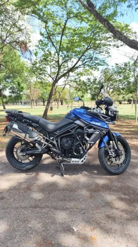 Triumph Tiger 800 XRX Low 2017