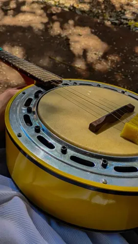 BANJO DG LUTHIER 2026