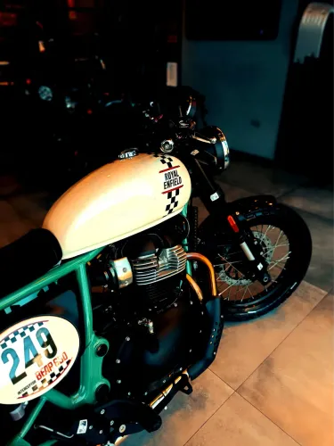 Bear 650 - Danielle 