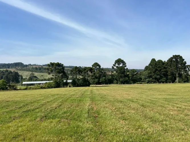 Terrenos rurais em São Luiz do Purunã | Glebas a partir de 20.000 m²