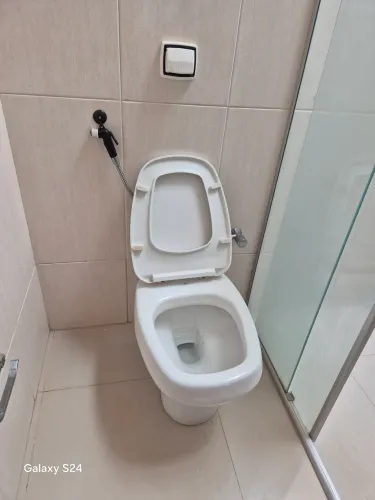 dois vasos sanitários
