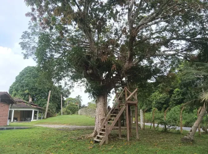 SÍTIO/CHACARA COM 21.3156h, , NA PISTA, AM 010, RIO PRETO, AC. CARRO, IMÓVEL, PARCELO