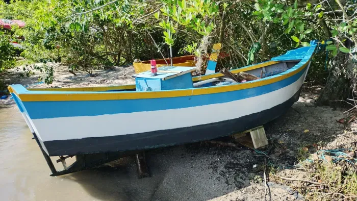 Barco 