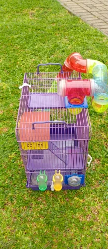 Gaiola para hamster