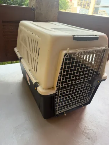 Caixa de Transporte para Cachorro - Grande - Pouquíssimo Uso