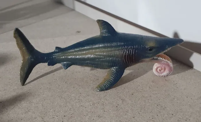 Helicoprion Peixe Pré Histórico Colecionável