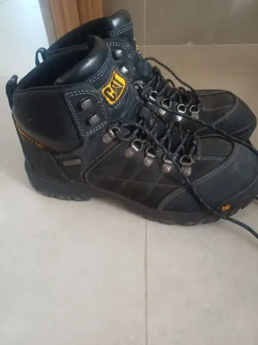 Bota cat