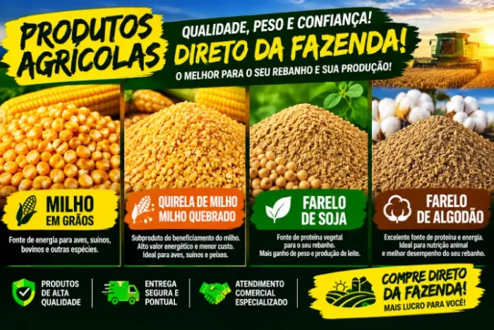 Milho Padrão 2 Consumo Animal e Produtos Agricolas Direto da Fazenda