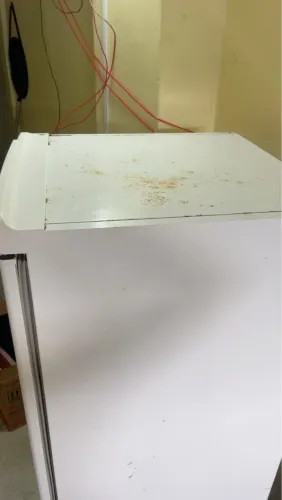 Geladeira