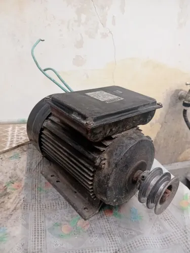 Motor Elétrico GMEG 2CV Monofásico Bivolt com Polia Dupla