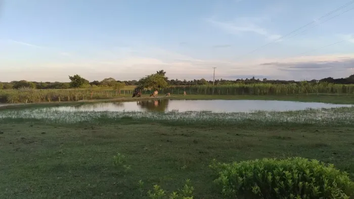 OPORTUNIDADE! VENDO GRANJA EM BOM JESUS, COM LAGO NA PROPRIEDADE, NO VALOR DE 395 MIL.