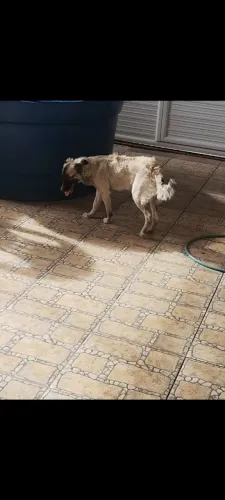 Doação
