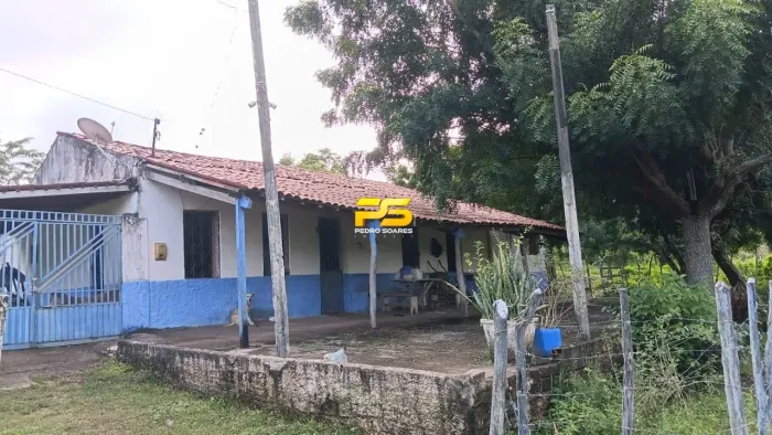 SITIO COM 4,9 HECTARES A VENDA DISTRITO DE BANANEIRAS ENTRE PIRPIRITUBA E RUA NOVA-PB REF: