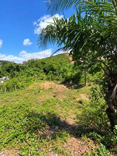 Vendo terreno no paraíso do Sul