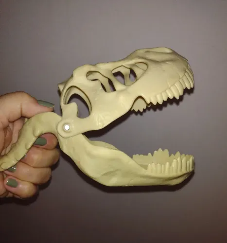 Dinossauro Articulável Kids e Teens