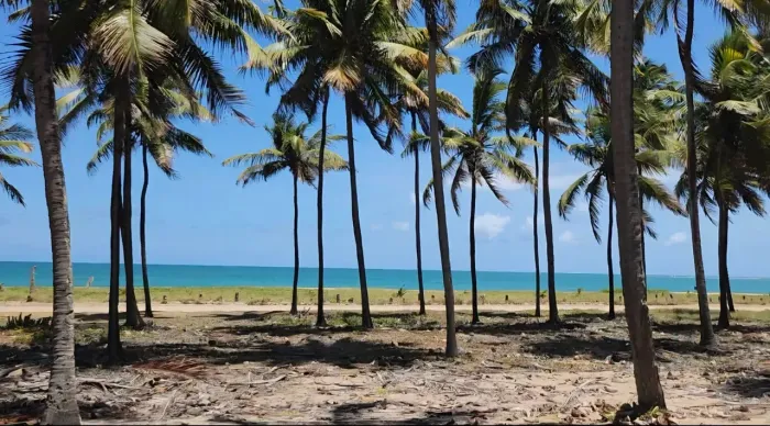 Diárias de turismo