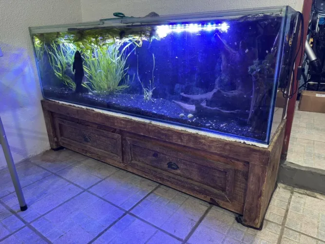 Vendo aquário 260 Litros